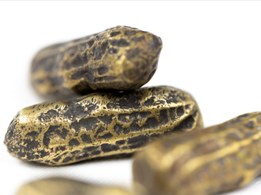 Gold dust weights – Gold in a Peanut Shell